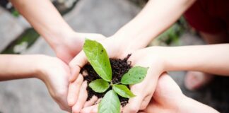 IX Edizione del Concorso nazionale a premi: “Lo Sviluppo locale che vorrei. Idee di impresa equa e sostenibile nell’era digitale”