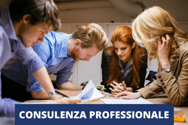 CONSULENZA PROFESSIONALE